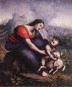 Madonna and Child with the Lamb of God Cesare da Sesto